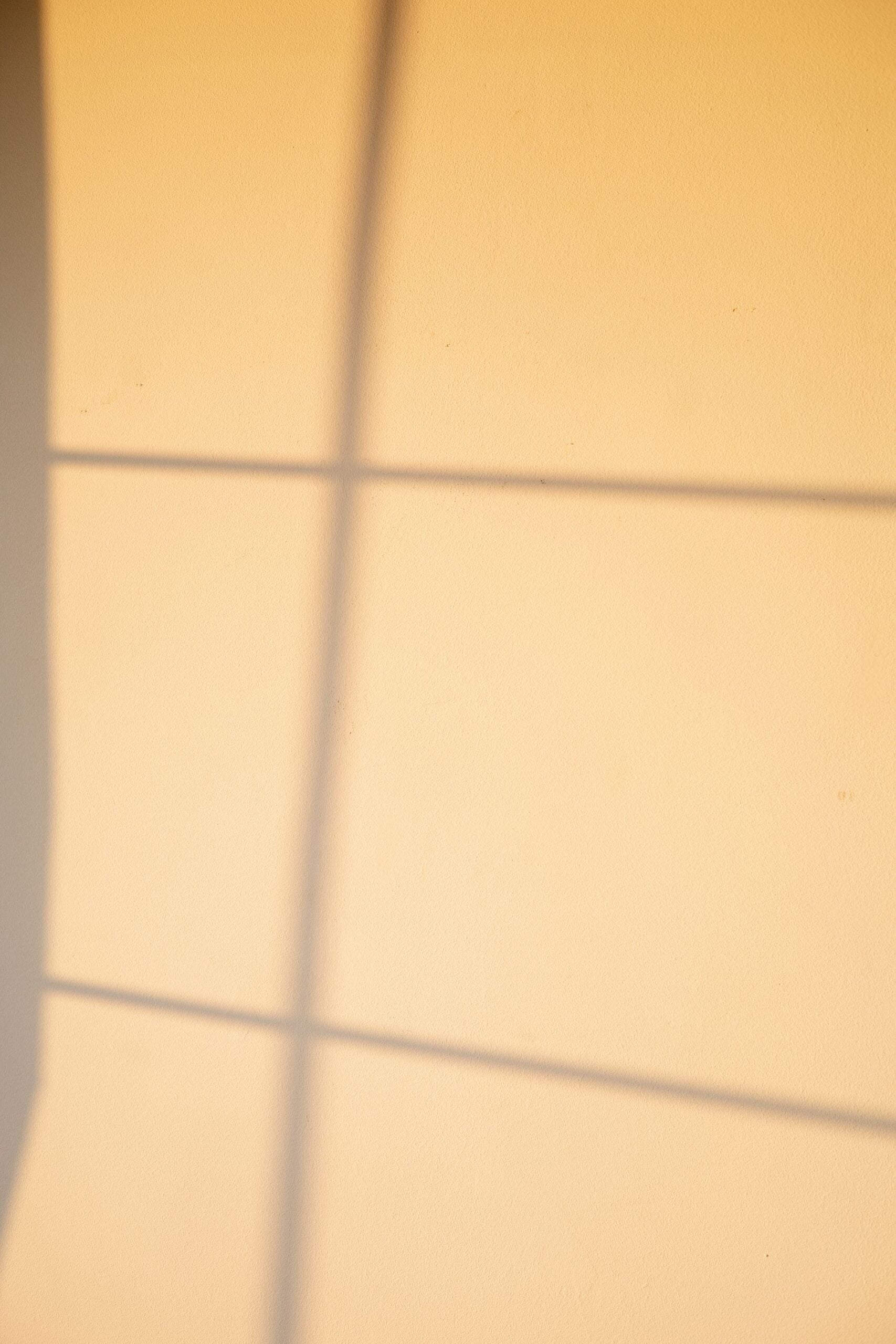 Soft daylight casting a window pattern across a warm cream wall