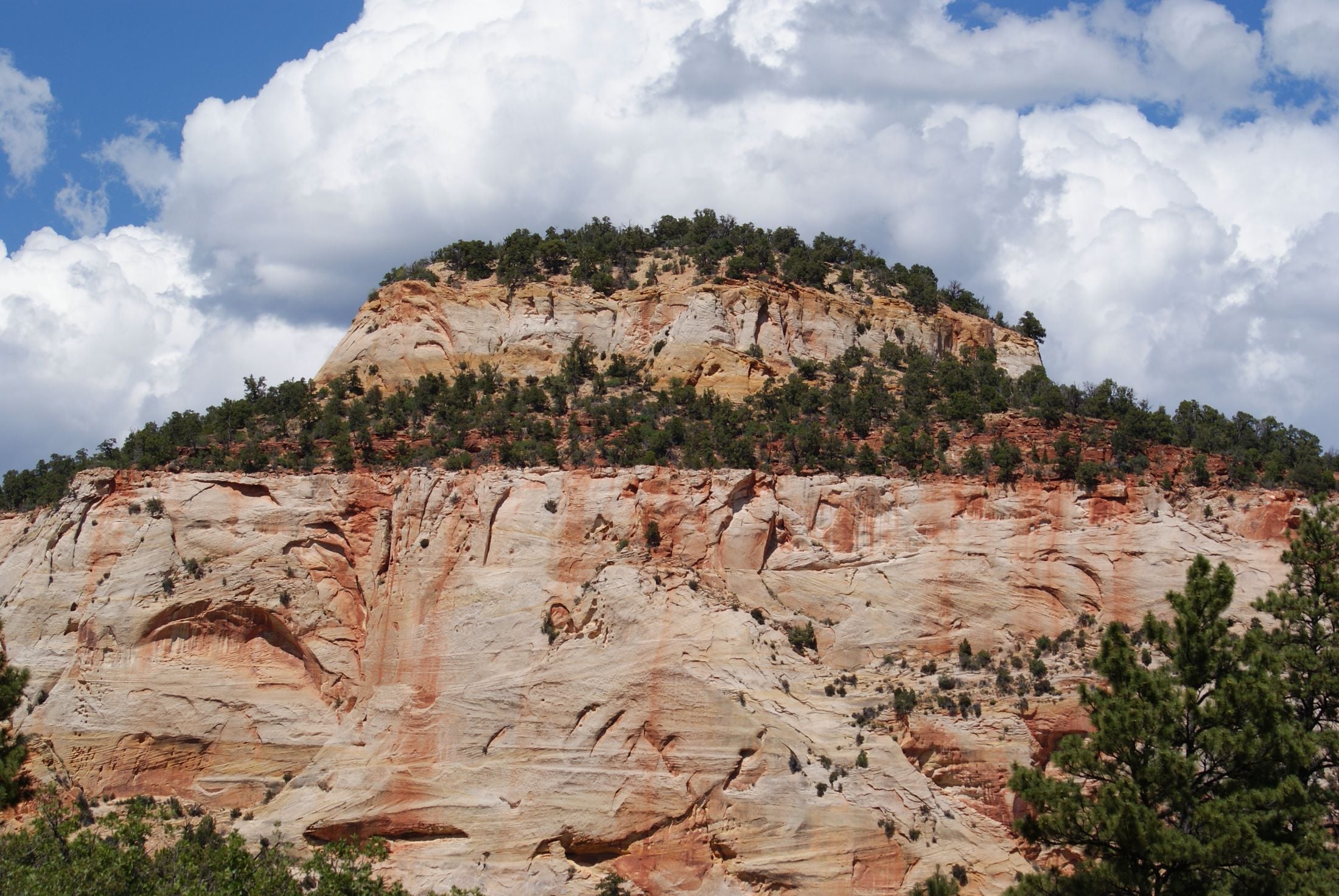 Sandstone cliffs under a vibrant sky in Zion National Park, Utah